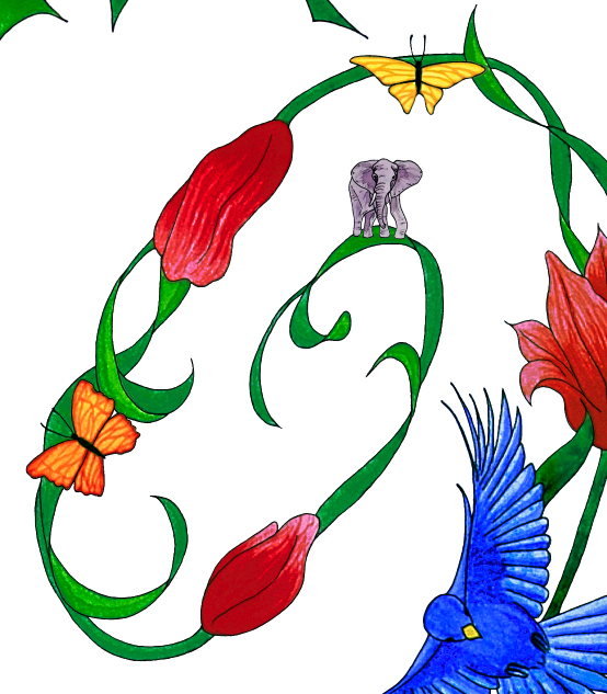 Spiral of Life Ketubah (with custom elephant illustration)