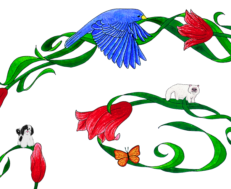 Spiral of Life Ketubah (with custom Shih Tzu and Himalayan Cat illustration)