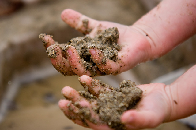 The best things happen when you get your hands dirty!