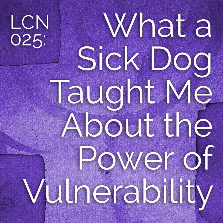 The Creative Sandbox Way™ LCN 025: What a Sick Dog Taught Me About the Power of Vulnerabilty