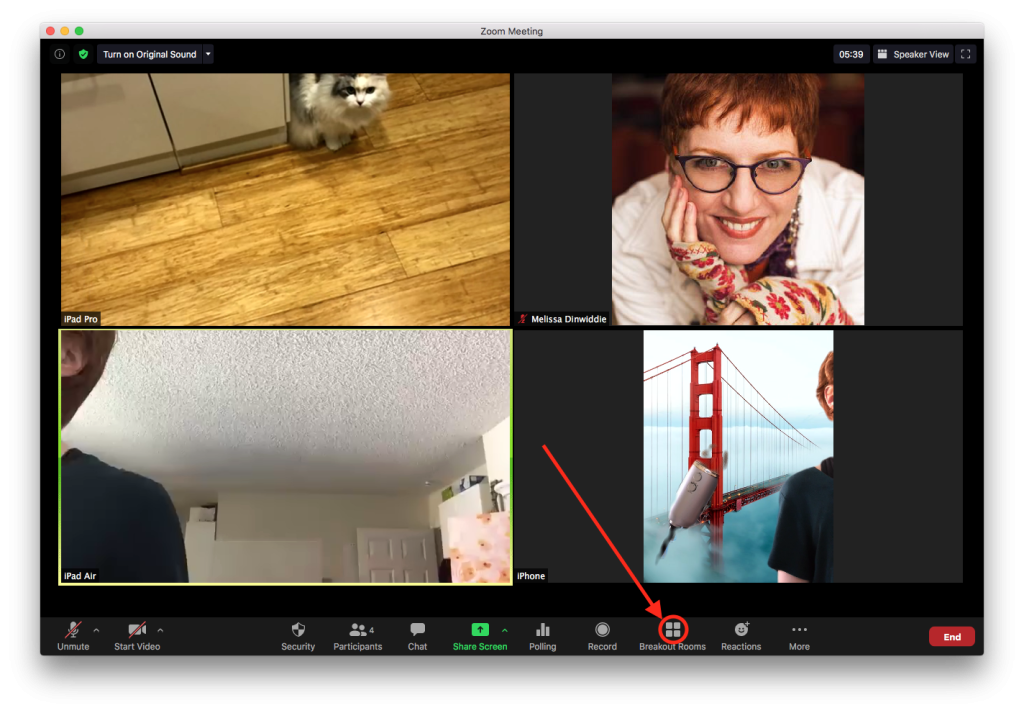 Click the Breakout Rooms icon to open the Breakout Rooms panel